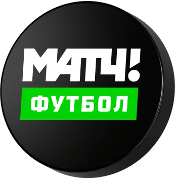 изображение_2025-04-28_152042925.png
