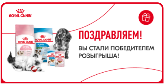 изображение_2025-06-25_234809913.png