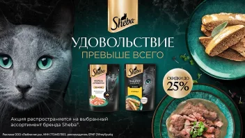 Промокод 10% на весь заказ от 2500 рублей в магазине Любимчик